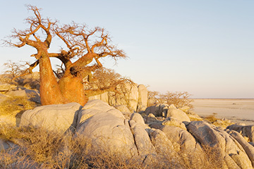 博茨瓦納哈瓦伊里弗萊基三字代碼(KHW),哈瓦伊里弗萊基(Khwai River Lodge)四字碼,博茨瓦納機(jī)場(chǎng)三字碼查詢